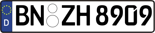 BN-ZH8909
