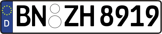 BN-ZH8919