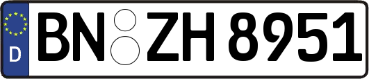 BN-ZH8951