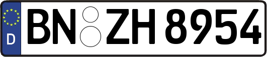 BN-ZH8954