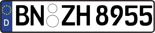 BN-ZH8955