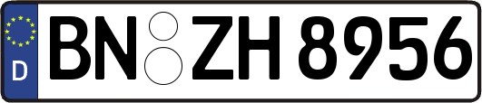 BN-ZH8956