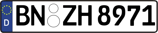 BN-ZH8971