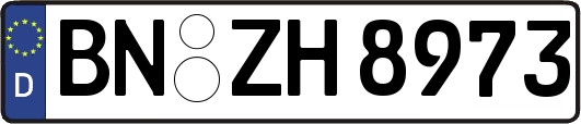 BN-ZH8973