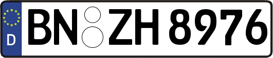 BN-ZH8976