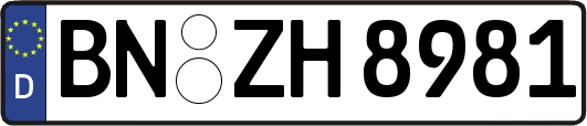 BN-ZH8981