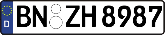 BN-ZH8987