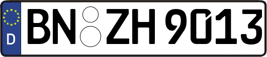 BN-ZH9013