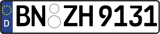BN-ZH9131