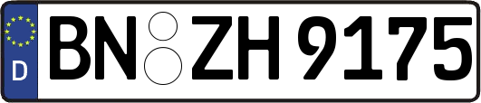 BN-ZH9175