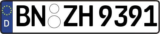 BN-ZH9391