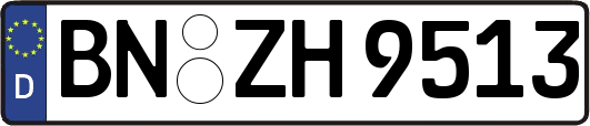 BN-ZH9513