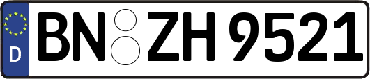 BN-ZH9521