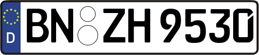 BN-ZH9530