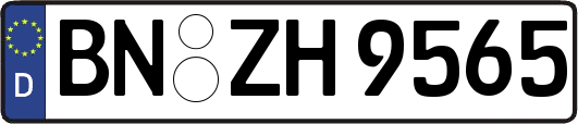 BN-ZH9565