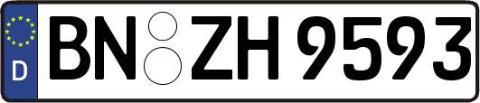BN-ZH9593