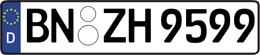 BN-ZH9599
