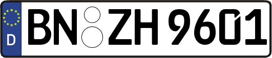 BN-ZH9601
