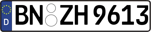 BN-ZH9613
