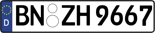 BN-ZH9667