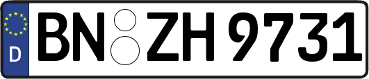 BN-ZH9731
