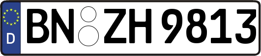 BN-ZH9813