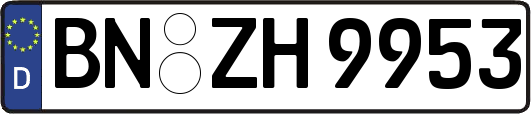 BN-ZH9953