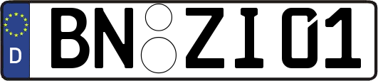 BN-ZI01