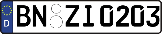 BN-ZI0203