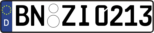 BN-ZI0213