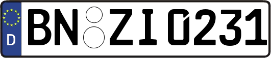 BN-ZI0231