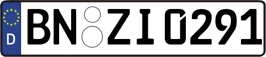 BN-ZI0291