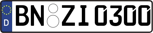 BN-ZI0300
