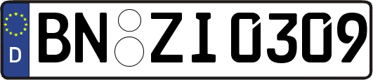 BN-ZI0309
