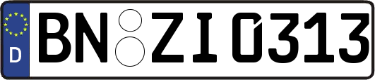 BN-ZI0313