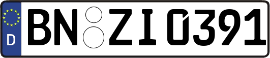 BN-ZI0391