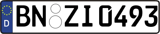 BN-ZI0493
