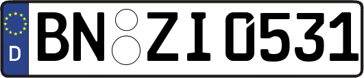 BN-ZI0531