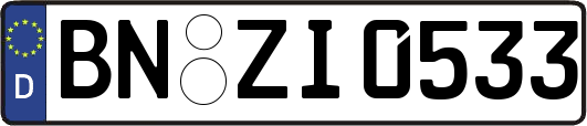 BN-ZI0533
