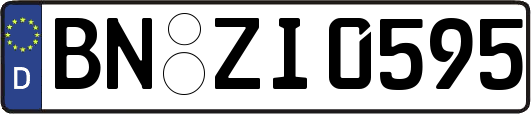 BN-ZI0595