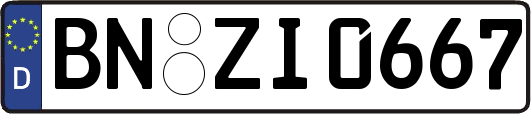 BN-ZI0667