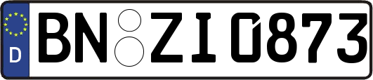 BN-ZI0873