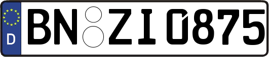 BN-ZI0875