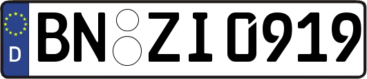 BN-ZI0919