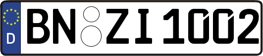 BN-ZI1002