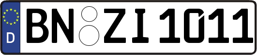BN-ZI1011
