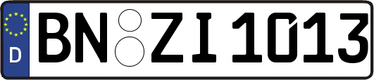 BN-ZI1013