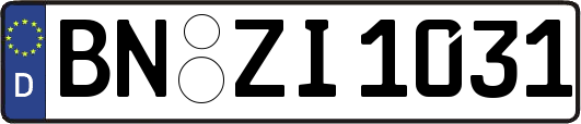 BN-ZI1031