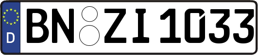 BN-ZI1033
