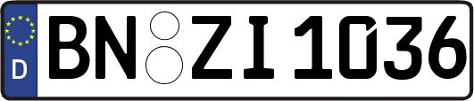 BN-ZI1036